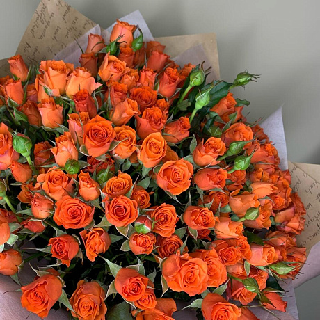 Роза кустовая оранжевая - Фото 4