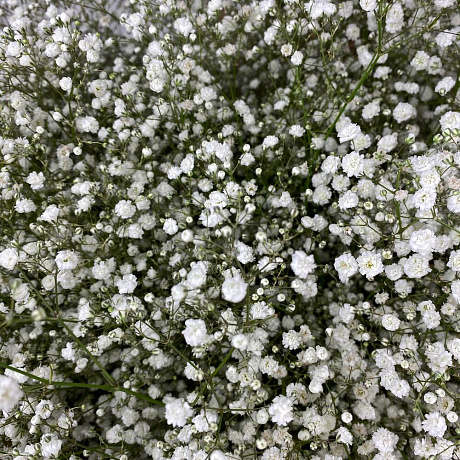 Букет Пушистое облако - Фото 3