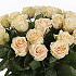 Букет из 19 кремовых роз Талея №161 - Фото 4