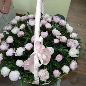 Корзина с пионами №161