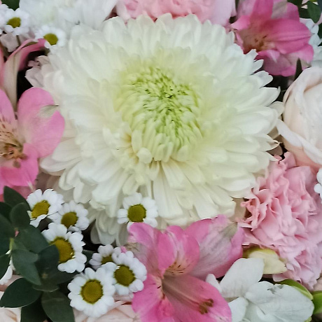 Букет цветов Нежность в коробке №160 - Фото 6