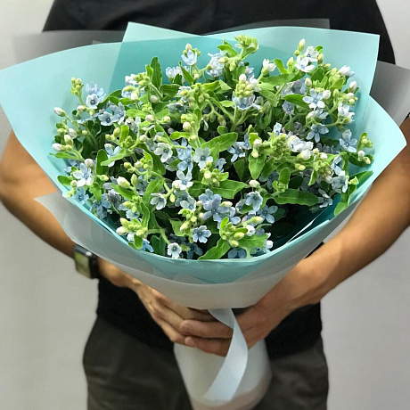 Букет цветов Опсепеталум №160 - Фото 2