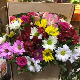 Ящик «Цветная Фантазия