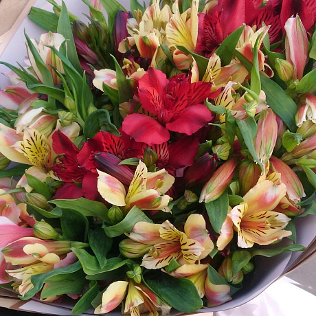 Букет из Альстрамерий №162 - Фото 4