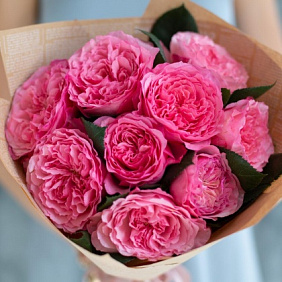 Пионовидные Розы Майра