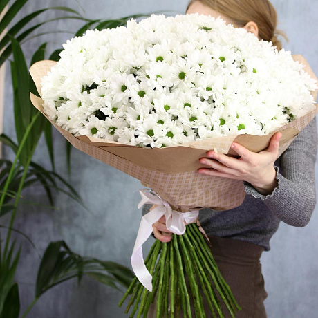 Букет из 51 белой кустовой хризантемы Бакарди - Фото 3