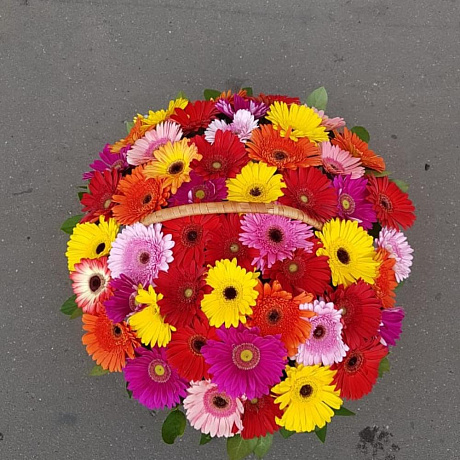 Букет из герберы №160 - Фото 5