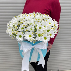Микс из ромашковых хризантем 