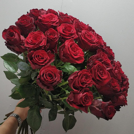 Шикарная эквадорская роза  35 шт - Фото 2