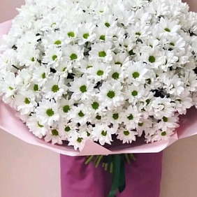 Букет цветов "Ромашки XXXl"