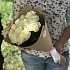 15 белых роз на 1 сентября - Фото 6