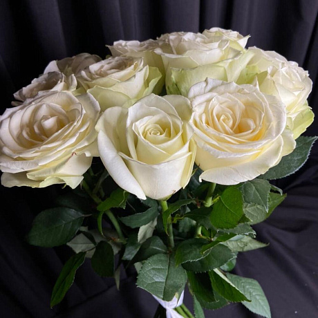 Роза Афина - Фото 4