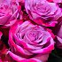 Фиолетовые розы в шляпной коробке - Фото 4