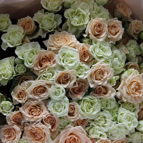 Букет из 39 кустовых роз №2 - Фото 5