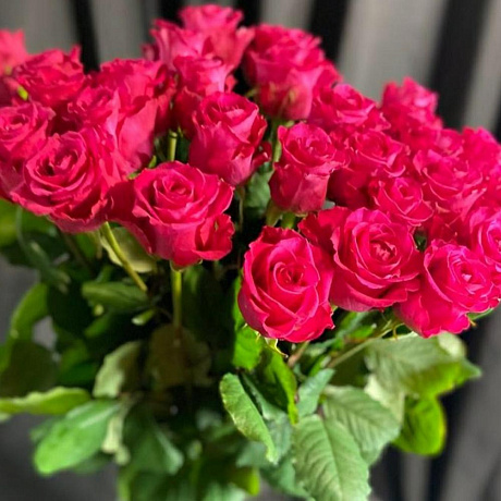 Роза пинк флойд 70 см - Фото 3