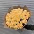 Букеты из 51 местных розы - Фото 3