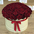 Коробка XXL из 101 красной розы. N83 - Фото 1