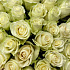 51 роза нежного цвета - Фото 3