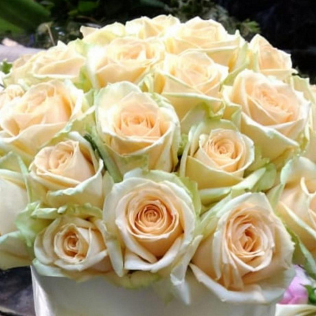 39 кремовых роз в шляпной коробке - Фото 3