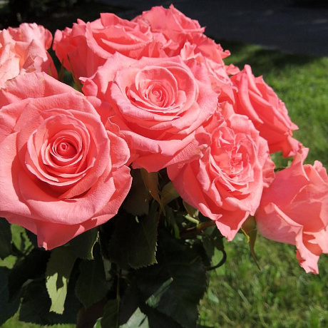 Букет цветов Карина - Фото 3