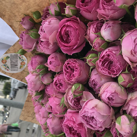 Розы. Пионовидная кустовая роза. N228 - Фото 4