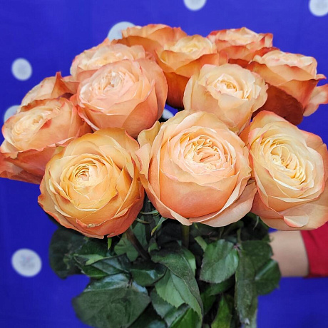 Букет из Пионовидных роз №160 - Фото 2