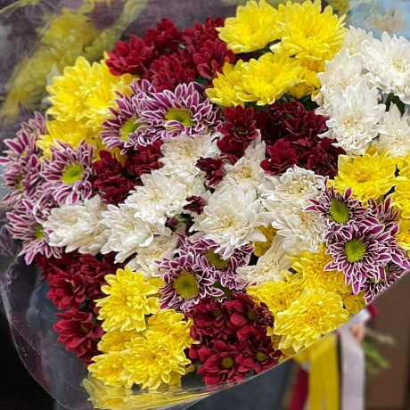 Букет из 19 кустовых хризантем №163 - Фото 5