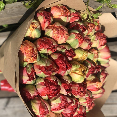 51 пионовидный тюльпан №160 - Фото 4