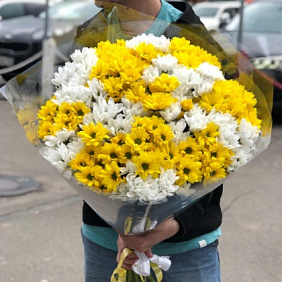 Букет кустовых хризантем №176