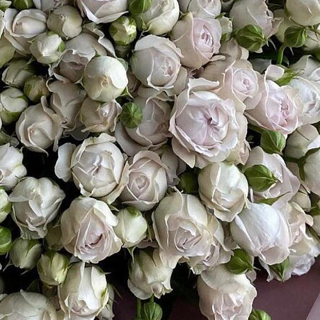 Букет цветов Бомбастик Пурпе - Фото 2