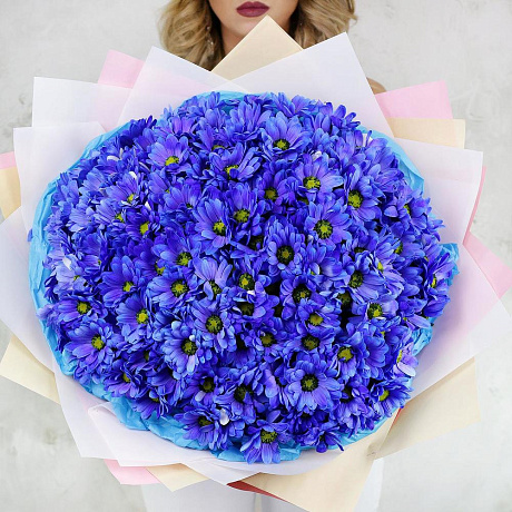 Букет из 25 синих хризантем - Фото 3