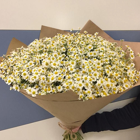 Букет из Ромашик Камилла - Фото 2
