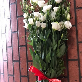 Эустома №168