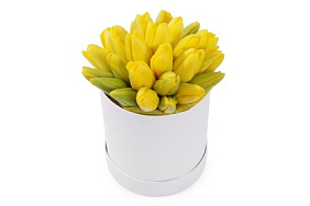25 желтых тюльпанов в белой маленькой шляпной коробке №534