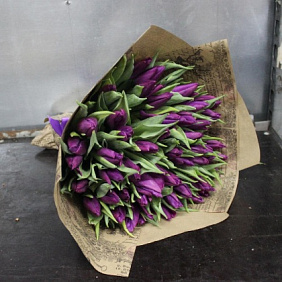 Фиолетовый тюльпан в крафте