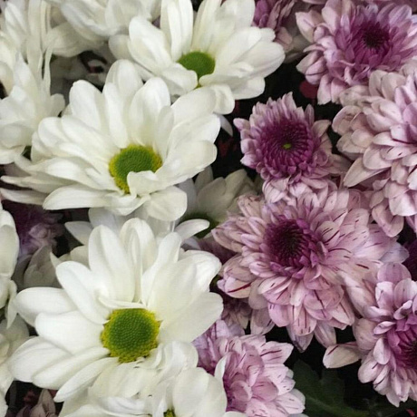 Букет цветов Поляна хризантем - Фото 5