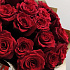 Шикарная эквадорская роза  21 штука - Фото 5
