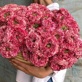 Букет "Фелиция"