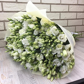 49 белых эустом