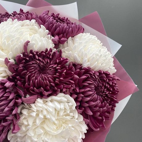 Шикарные хризантемы - Фото 3