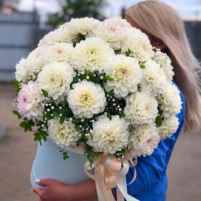 Сезонные геаргины 