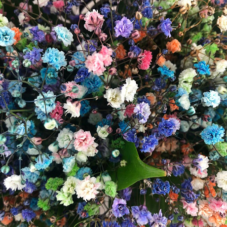 Букет цветов Конверт Воздушный - Фото 6