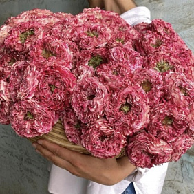 Букет цветов "Благоухающая красавица"