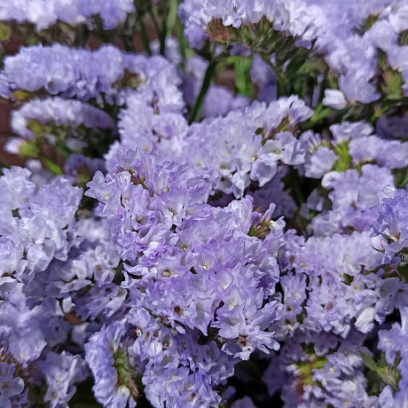 Букет цветов Прованс №161 - Фото 6