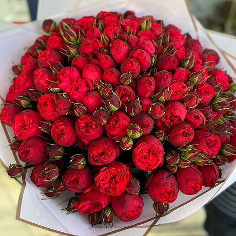 Букет бордовых пионавидных роз  РЕД ПИАНО - Фото 2