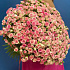 101 нежно-розовая кустовая Роза - Фото 3