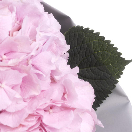 Букет из 3 розовых гортензий №3 - Фото 4