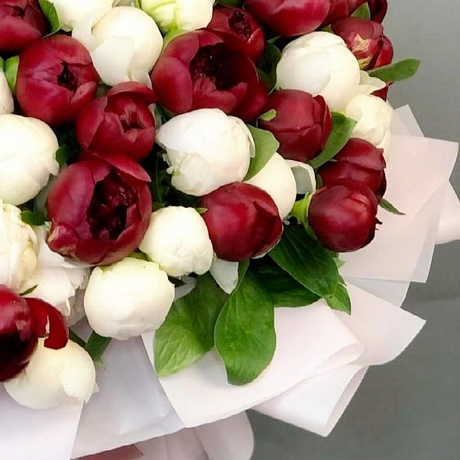 Luxury Букет из 101 пион - Фото 4