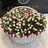 1001 тюльпан Маме в знак глубокого уважения и любви - Фото 1