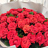 Букет из 25 красных роз Эль Торро - Фото 2